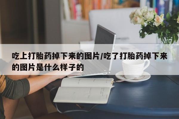 米非米索吃上打胎药掉下来的图片/吃了打胎药掉下来的图片是什么样子的