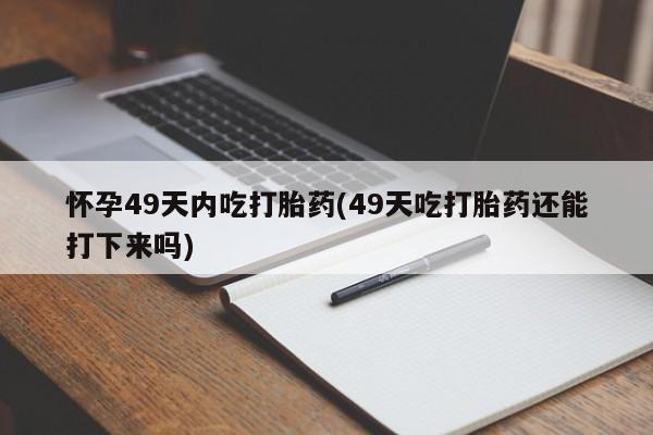 admin 第516页